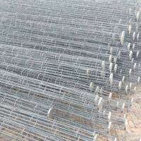 定做供應(yīng)除塵濾袋骨架 噴塑除塵器袋籠 結(jié)構(gòu)穩(wěn)定 使用壽命長(zhǎng)